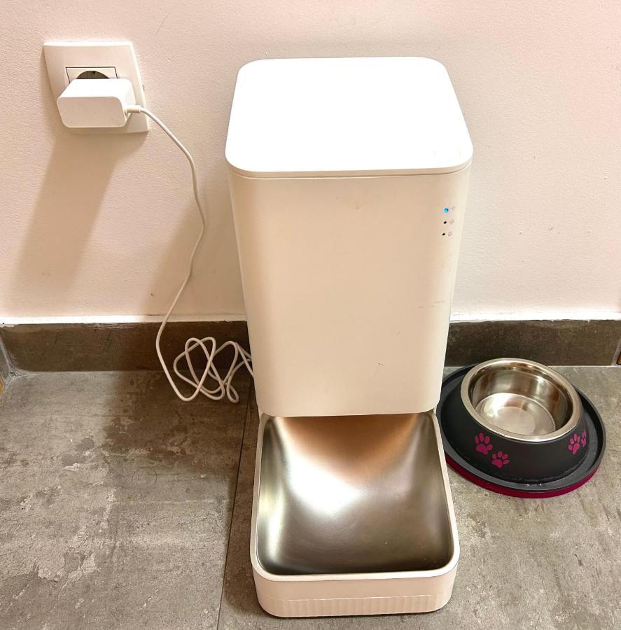 شقة Flat Mara, Pet Friendly بودغوريتْسا المظهر الخارجي الصورة